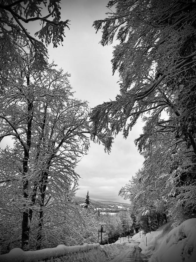 Hôtel de ville du Sentier Le Sentier Exterior foto